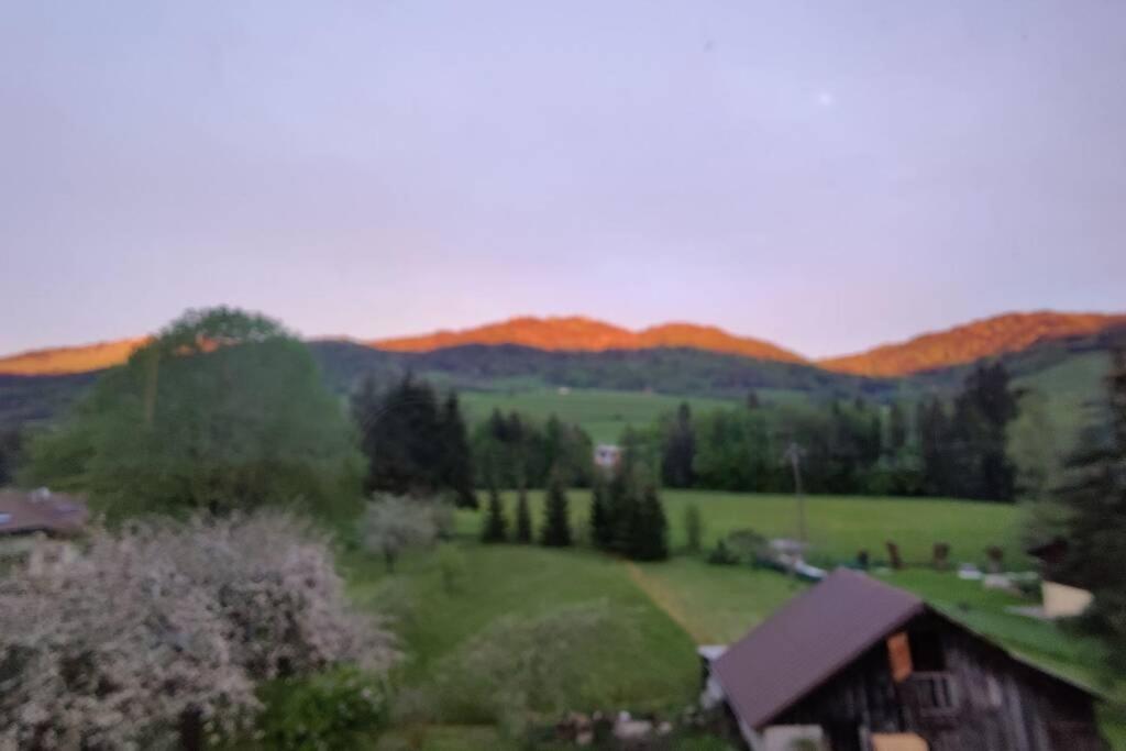 Gite Vallee Verte Burdignin Exterior foto