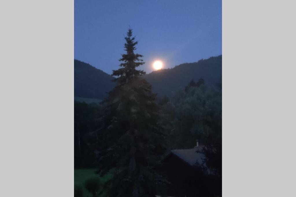 Gite Vallee Verte Burdignin Exterior foto