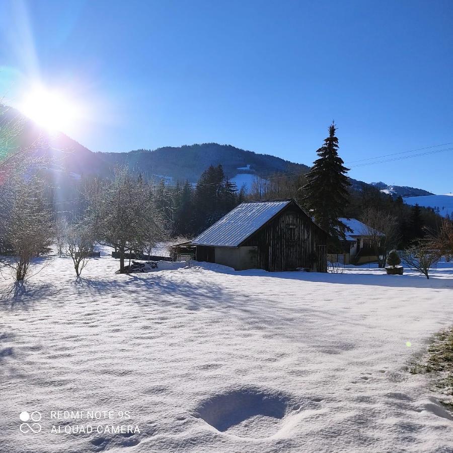 Gite Vallee Verte Burdignin Exterior foto