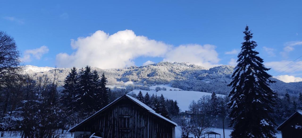 Gite Vallee Verte Burdignin Exterior foto