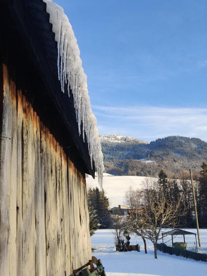 Gite Vallee Verte Burdignin Exterior foto