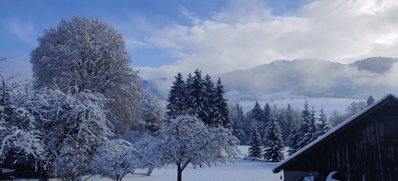 Gite Vallee Verte Burdignin Exterior foto